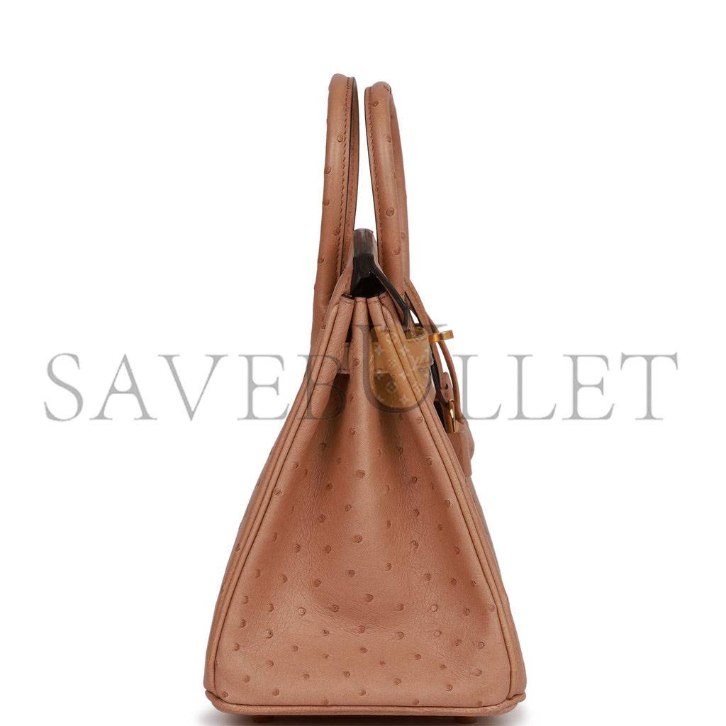 H**mes birkin 25 chai ostrich gold hardware (25cm)