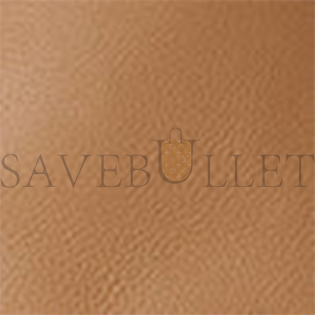 T*e R*w large ns park tote bag in leather cinnamon w1273l129cmon (43*38*20cm)